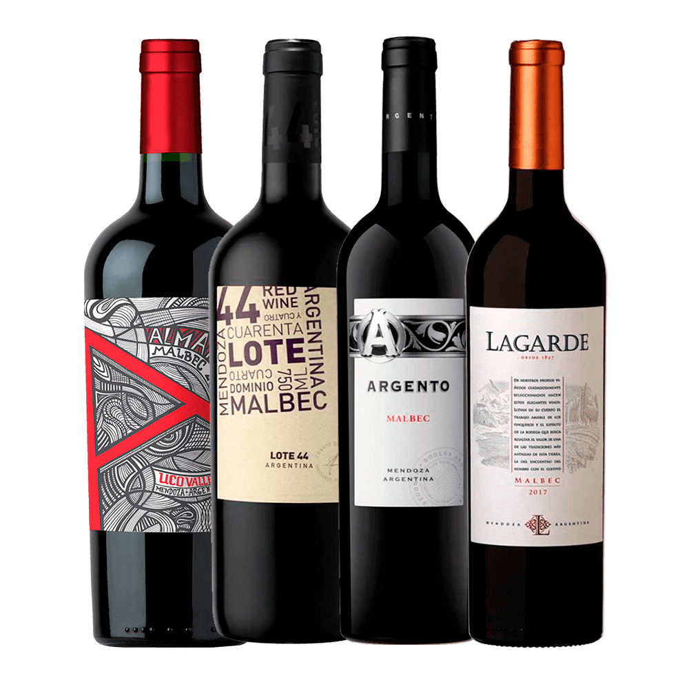 Kit Malbec Argentina - ravin-new