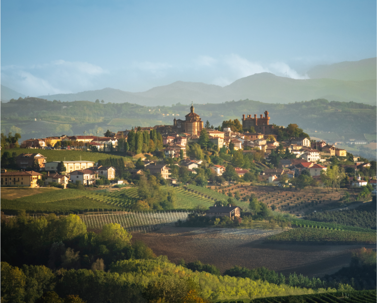 Ravin Elite - ravin-new