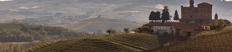 Ravin Elite - ravin-new