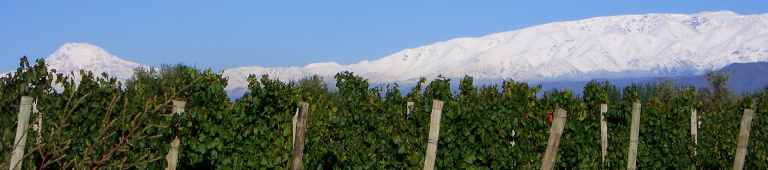 Ravin Elite - ravin-new