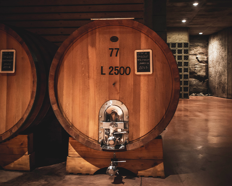 Ravin Elite - ravin-new