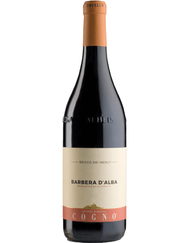 Elvio Cogno Barbera d´Alba DOC "Bricco dei Merli" 2021