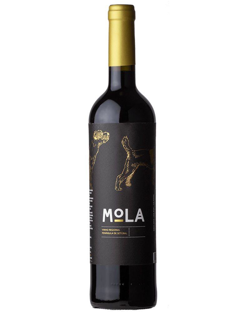 MOLA TINTO 2021