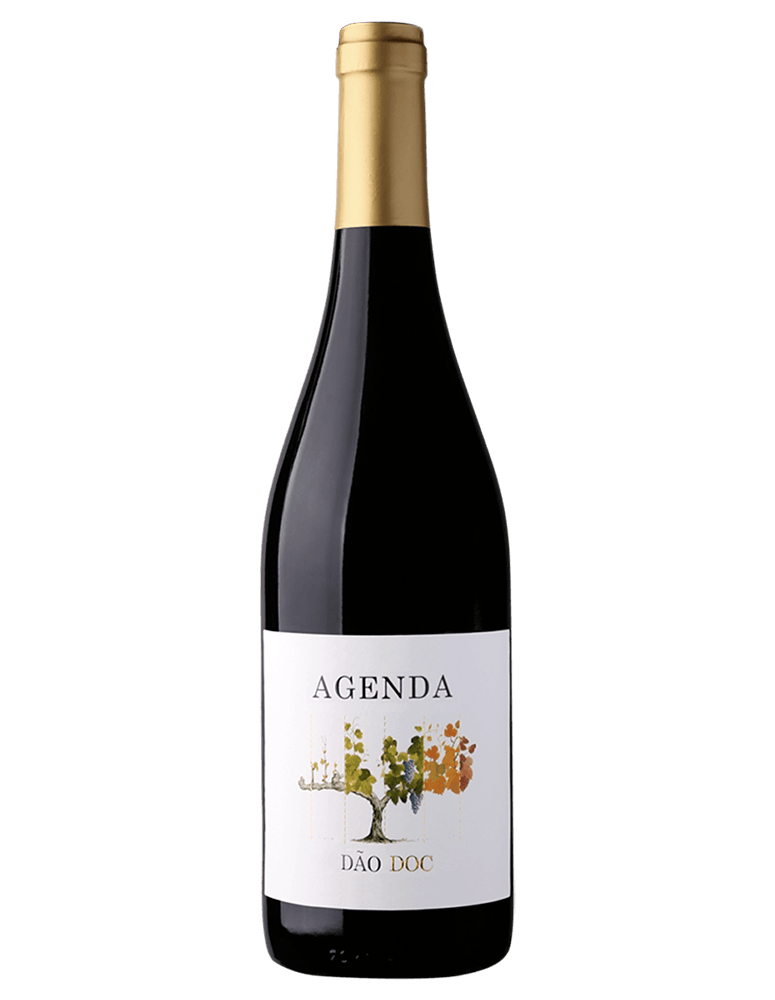AGENDA TINTO DÃO DOC 2021