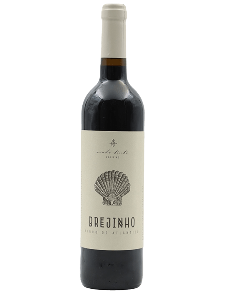 BREJINHO CONCHAS TINTO