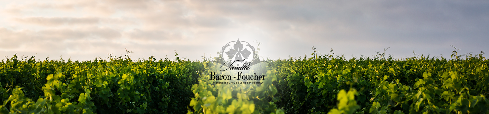 banner produtor