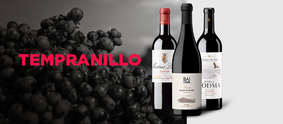 Uva Tempranillo