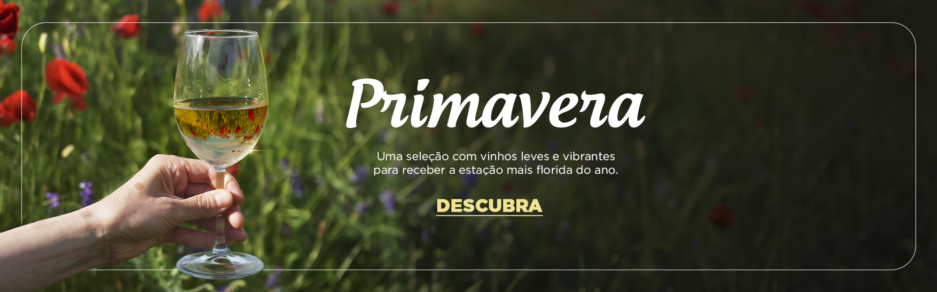 Selecao de Primavera